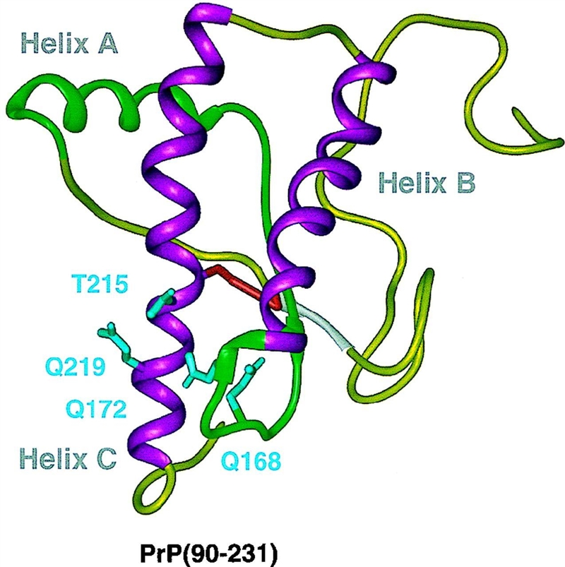 What are prions? I'm just really fascinated by them :P Btw, here's a graph-example-1