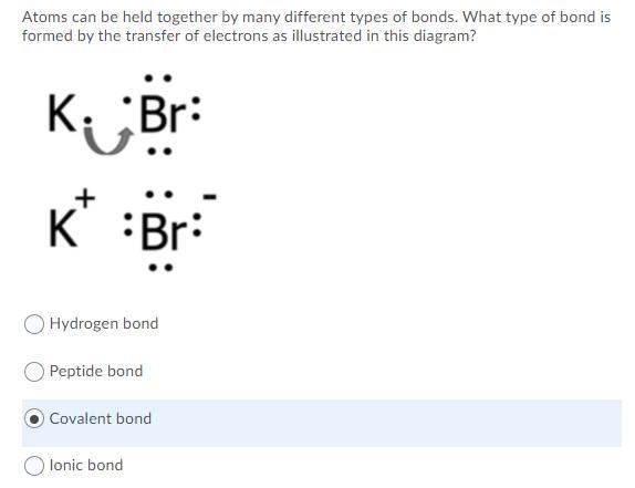 Help when u can! I feel like it's C, but I just want to make sure before I submit-example-1