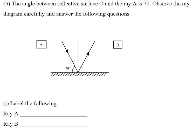 Plz answer the question-example-1