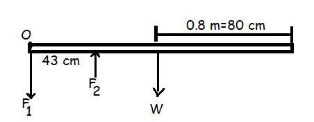 A person carries a plank of wood 1.6 m long with one hand pushing down on it at one-example-1