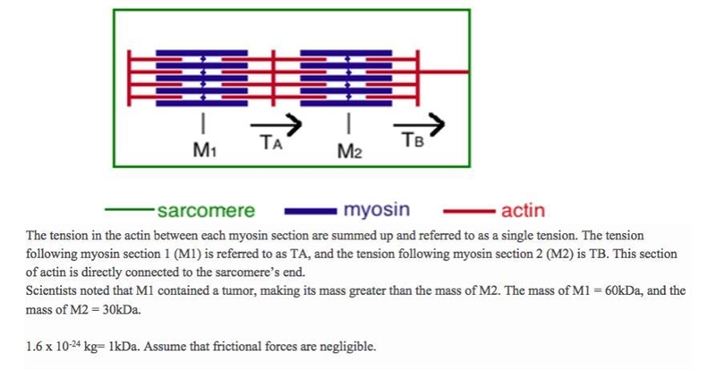 During one trial, the acceleration is 2m/s^2 to the right. What calculation will give-example-1