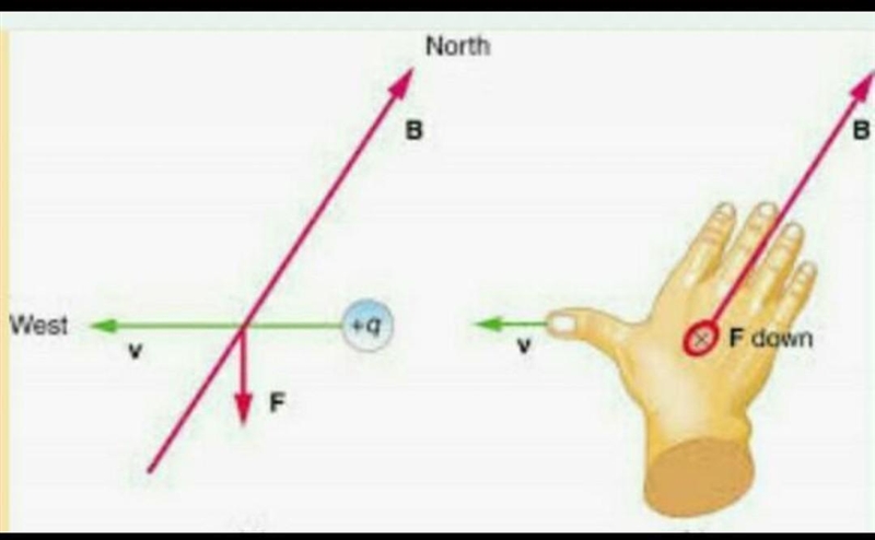 Write a formular to show force experienced by charge in magnetic field.​-example-1