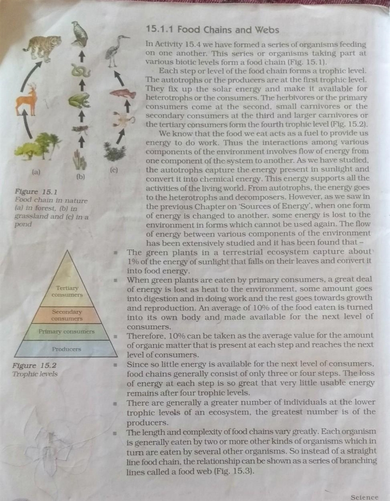 NO LINKS OR I WILL REPORT YOU b/t/w i\d\k if this is physics or not Choose an ecosystem-example-1