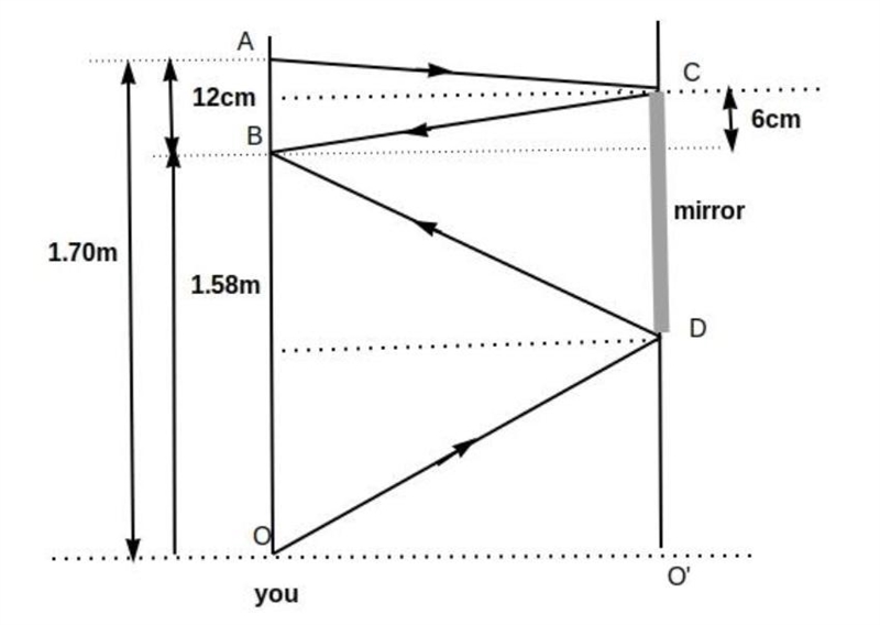 Suppose you are standing in front of a flat mirror which is mounted to a vertical-example-1