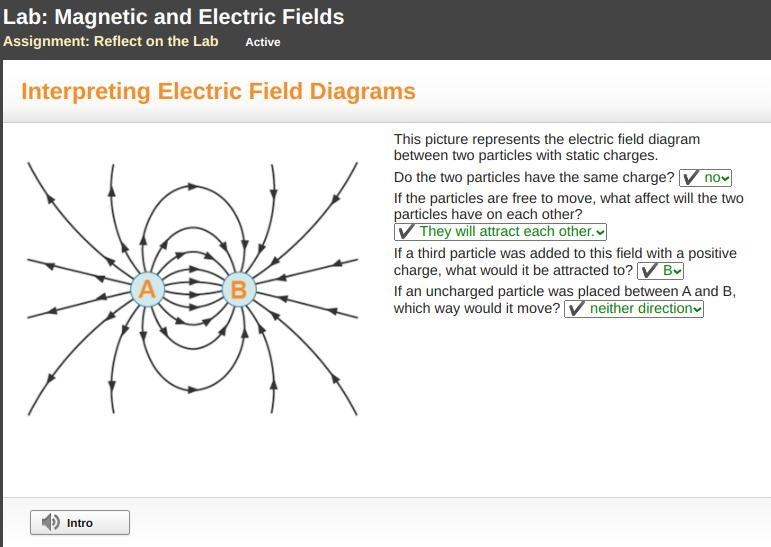 This picture represents the electric field diagram between two particles with static-example-1