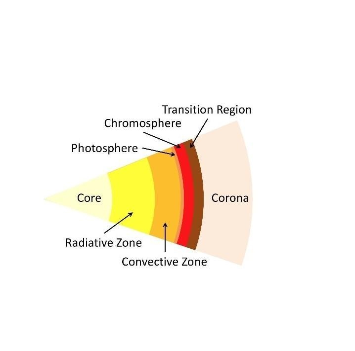 The Sun is divided into three regions. True оr False?-example-1