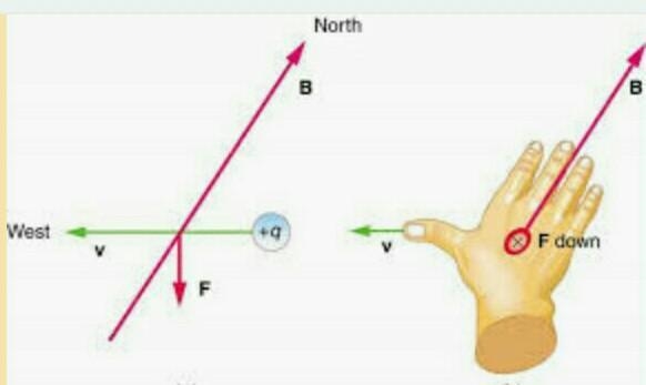 Write the formular of force experienced by charge in electric field​-example-1