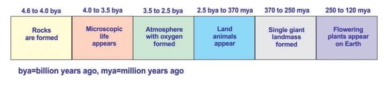 [GT.01]The diagram below shows a portion of the geologic time scale. Based on the-example-1