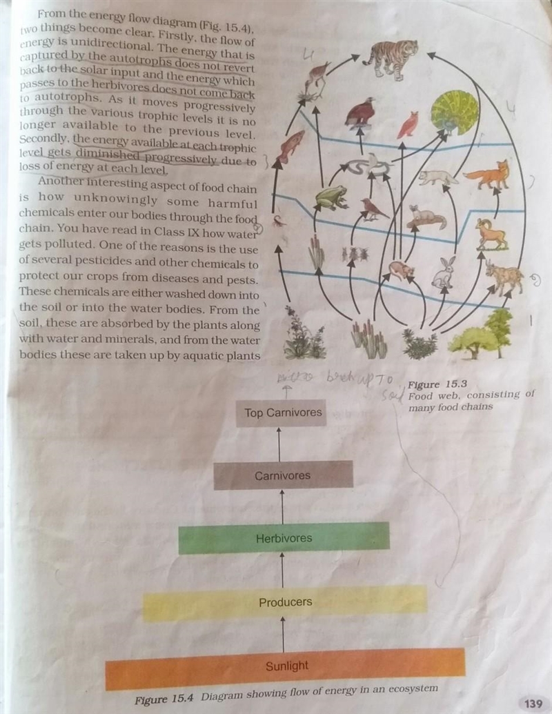 NO LINKS OR I WILL REPORT YOU b/t/w i\d\k if this is physics or not Choose an ecosystem-example-2