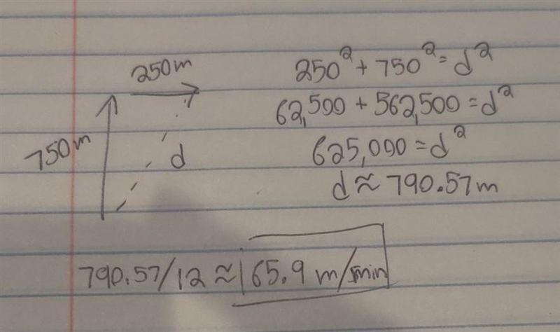 I need written answer with solution:- a person walks 750m due north then 250 m due-example-1