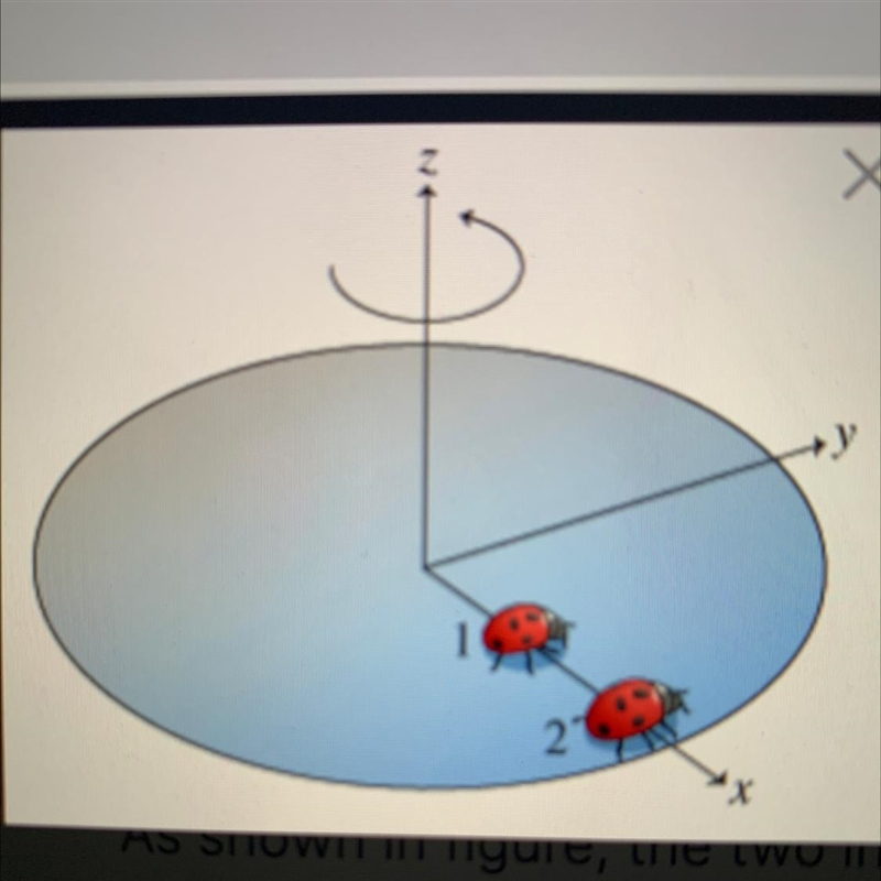 Two insects are at points 1 and 2. which of the two insects has the greater kinetic-example-1