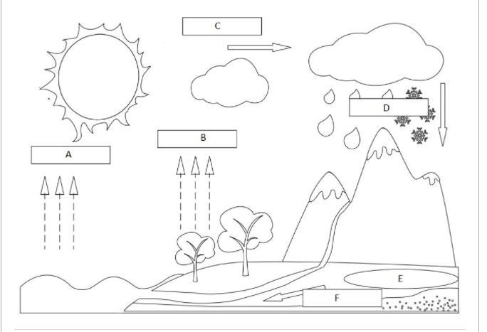 Help, please 15 points-example-1