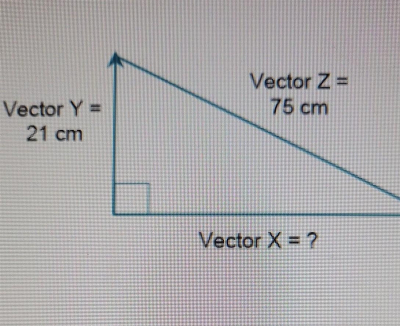 What is the magnitude of vector X?​-example-1