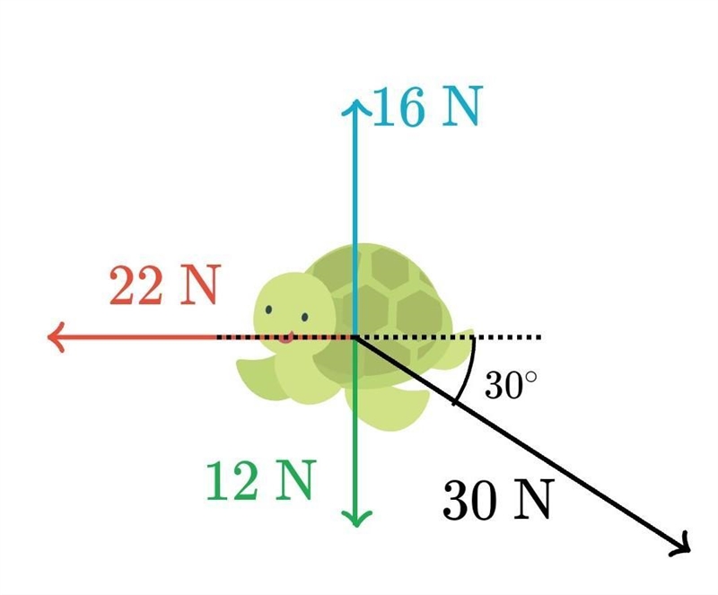 Newton's second law A 1.2kg turtle has forces exerted on it as shown below 16N what-example-1