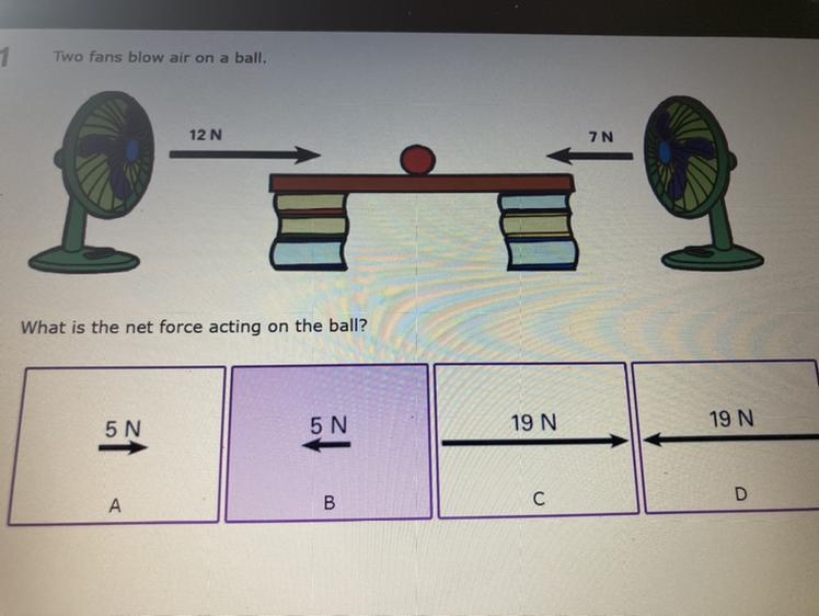 5N 5 N 19 N 19 N Pls help look at the pic-example-1