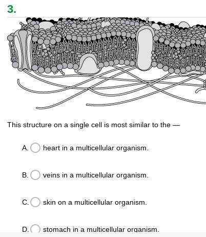 I just need help plzzzz-example-1