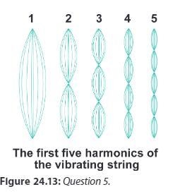 The first five harmonics for a vibrating string are shown in Figure24.13.a.For each-example-1