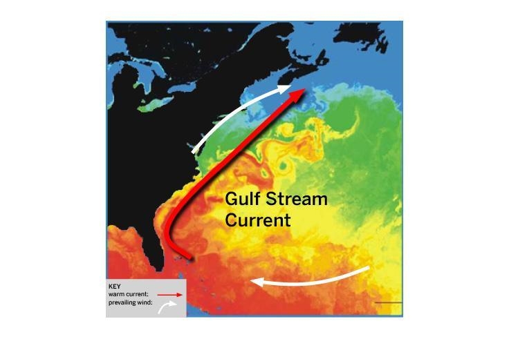 What ideas do you have about what determines how currents like this move?-example-1