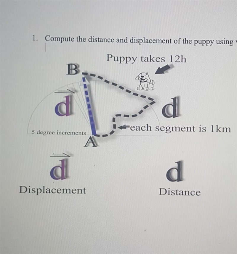 Compute the distance and displacment of the puppy using visual analysis of the diagram-example-1