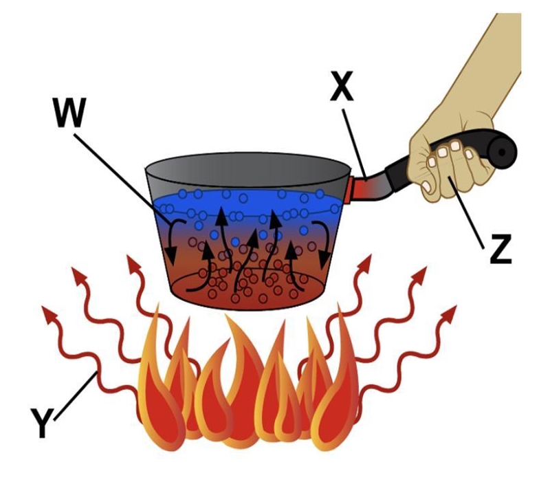 In which areas of the diagram does conduction occur? W and X X and Z Y and Z Z and-example-1