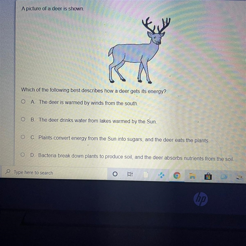 Helppp how a deer gets it’s energy-example-1