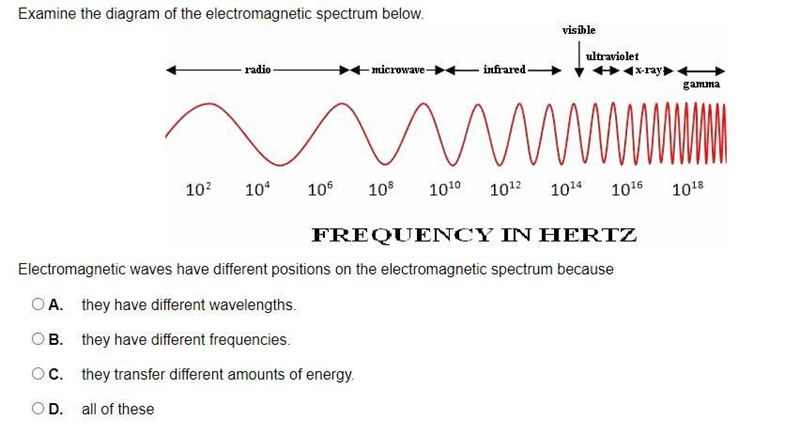 I need help on this question!-example-1