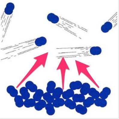 Describe the relationship of the atoms shown above choices:-example-1