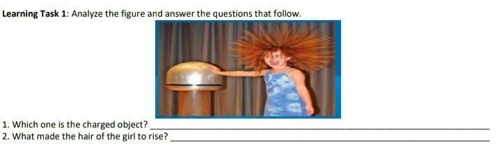 Learning Task 1: Analyze the figure and answer the questions that follow. 1. Which-example-1