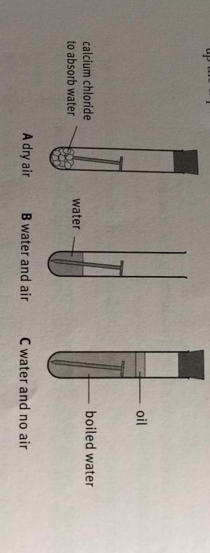 How do the conditions in tube c prevent air reaching the iron nail​-example-1