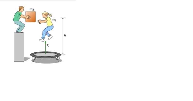 A girl of mass m1=60.0 kilograms springs from a trampoline with an initial upward-example-1