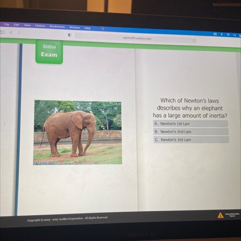 Which of Newton's laws describes why an elephant has a large amount of inertia? A-example-1