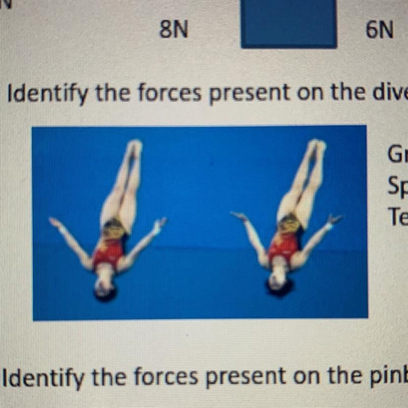 Identify the forces present on the divers in the picture below. Gravity Spring Tension-example-1