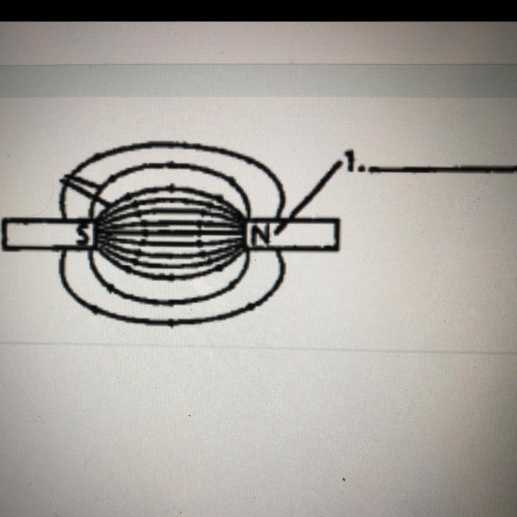 What should #1 be labeled? A. magnetic field line B. north pole C. electron D. magnetic-example-1