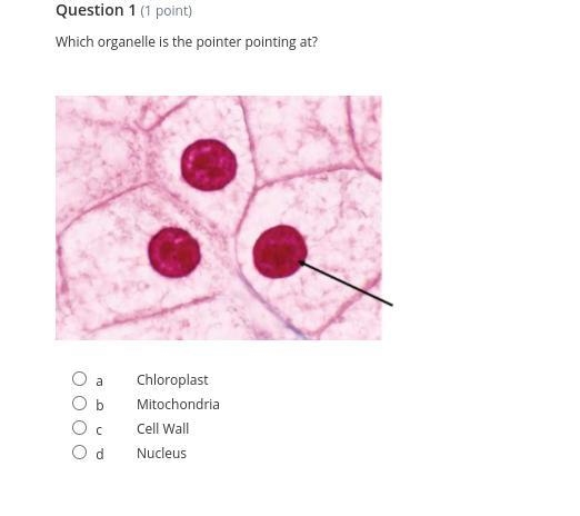 Help me please I swear I'm gonna di3 my science sucks-example-1