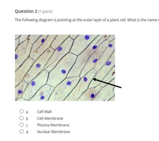 Help me please I swear I'm gonna di3 my science sucks-example-2