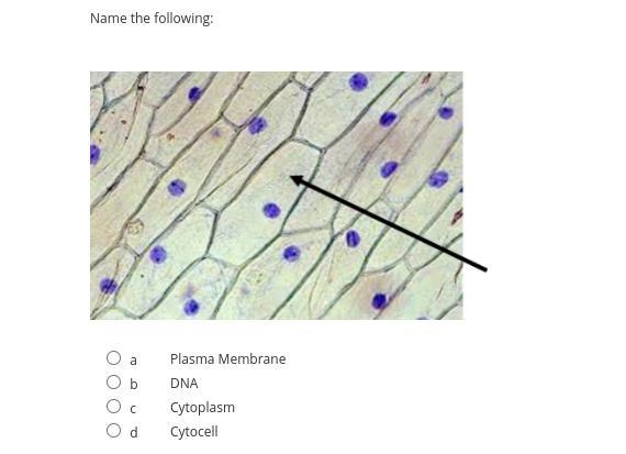 Help me please I swear I'm gonna di3 my science sucks-example-4