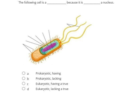 Help me please I swear I'm gonna di3 my science sucks-example-5