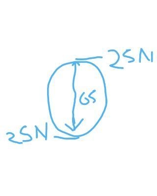 Two forces each of magnitude 25N acts in opposite direction at the opposite end of-example-1