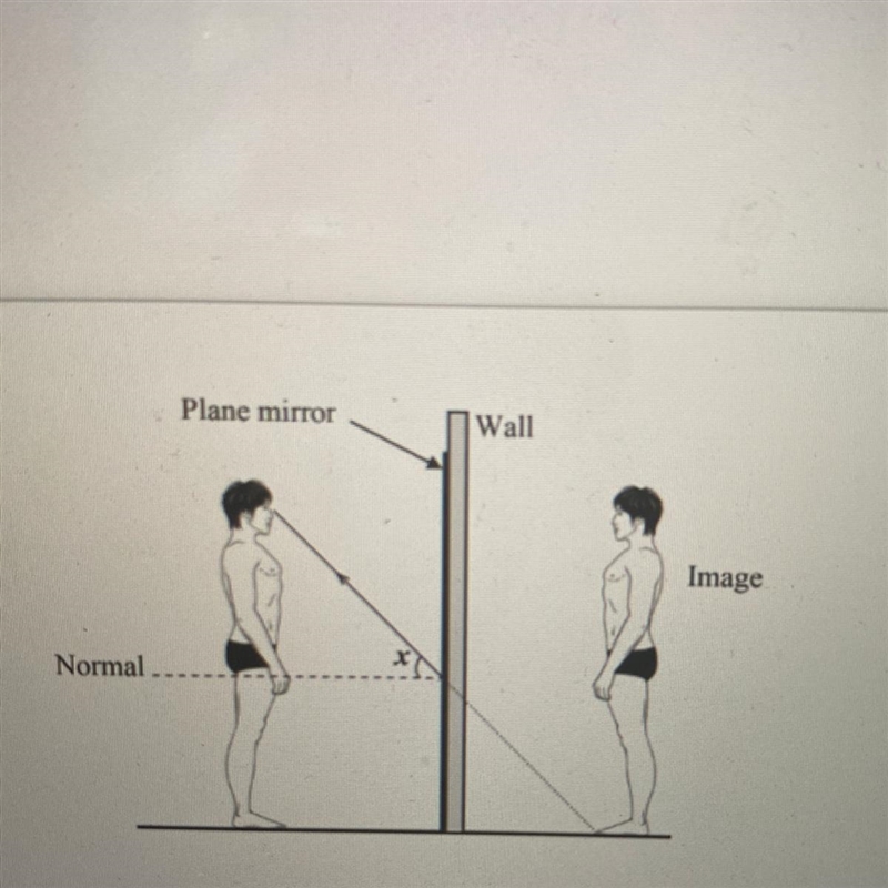 A man stands in front of a vertical plane mirror which is fixed on a wall as shown-example-1