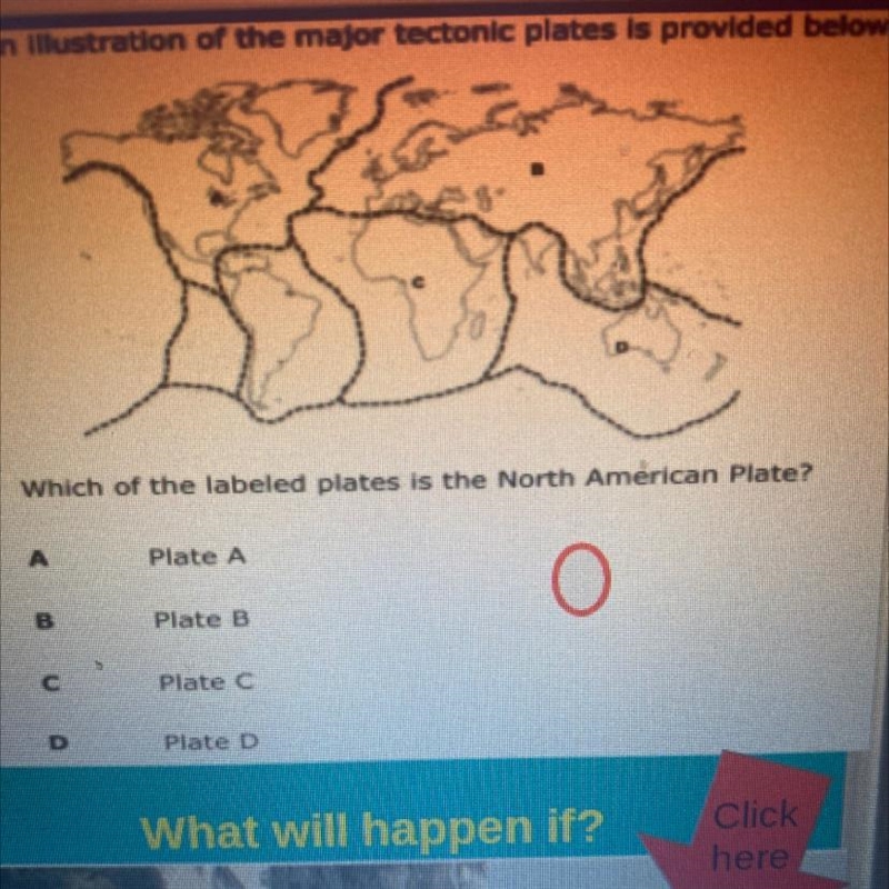 An illustration of the major tectonic plates is provided below. Which of the labeled-example-1