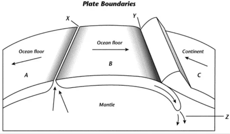 New seafloor is being created at point ______________. 1. X 2. Y 3. Z 4. None-example-1