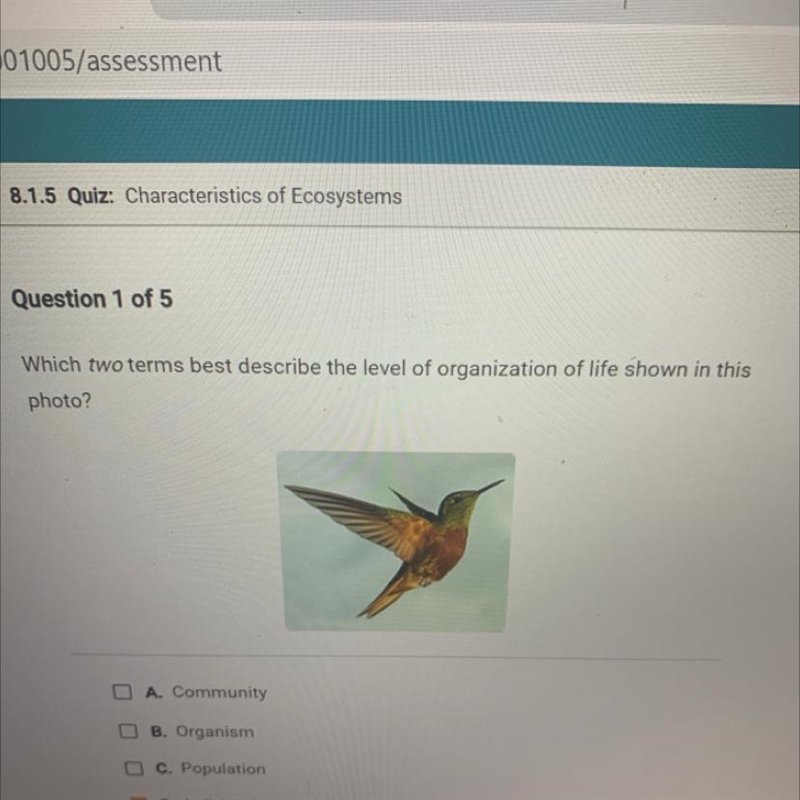 A. Community B. Organism C. Population D. Individual-example-1