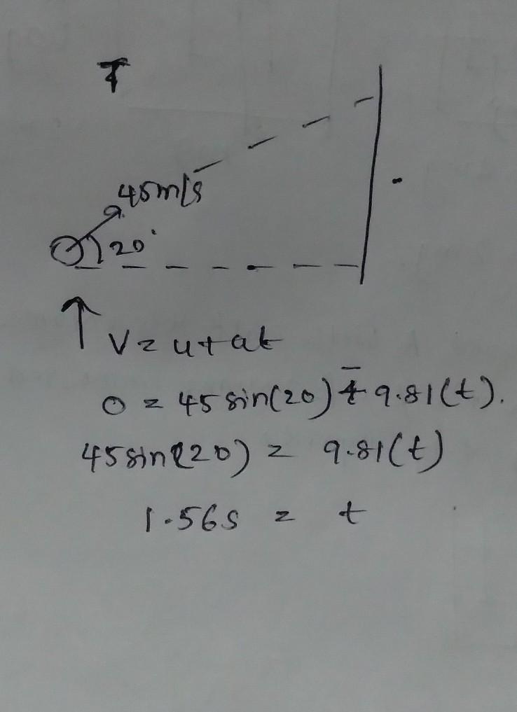 Find the height of the coconut from the ground at the moment the arrow hit it.-example-1