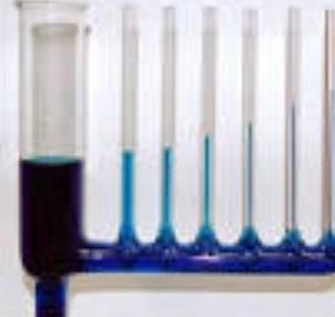 Explain the factors that affect capillary action-example-1