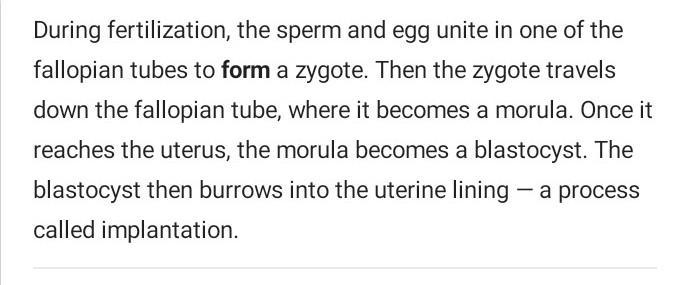 How are babies formed?​-example-1