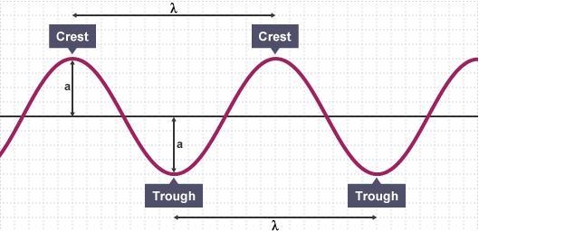 Compare the amplitude of these waves. help?-example-1