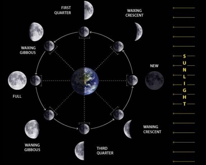 Describe the phases of the moon along with a picture.​-example-1