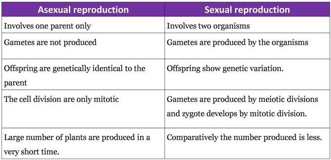 What is sex ansd asexual.​-example-1