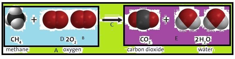 Identify each part of this chemical equation that describes the burning of methane-example-1