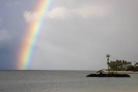 Which BEST explains why rainbows only appear when there is rain and sun? a)The rain-example-1